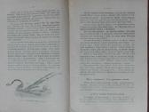 1601. Pievų Pagerinimas reta antikvarinė-kolekcinė - nuotraukos Nr. 5