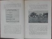 1601. Pievų Pagerinimas reta antikvarinė-kolekcinė - nuotraukos Nr. 6
