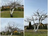 Apželdinimas,vejos įrengimas, visi gerbūvio darbai - nuotraukos Nr. 8