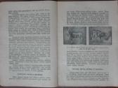 1585. Veršelių Auginimas Ir Jų Priežiūra reta anti - nuotraukos Nr. 3