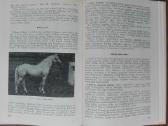 1610. Gyvulininkystė - nuotraukos Nr. 6