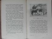 1612. Mano Pažintys Su Gyvūnais - nuotraukos Nr. 9