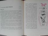 1613. Животные И Растения - nuotraukos Nr. 6