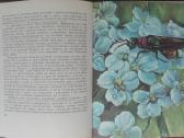 1613. Животные И Растения - nuotraukos Nr. 7