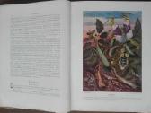 1621. Чудеса Природы - nuotraukos Nr. 8