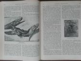 1623. Вселенная И Человьчество - nuotraukos Nr. 15