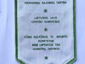 Gairelės - 2 vnt. Nuo gintarinės baltijos. - nuotraukos Nr. 2