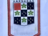 Gairelė - Jaunųjų turistų stotis, Kapsukas - nuotraukos Nr. 2