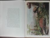 1624. По Путям Развития Жизни - nuotraukos Nr. 7
