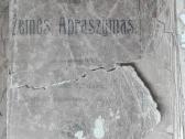 1625. Geografija Arba Žemės Apraszymas labai reta - nuotraukos Nr. 2