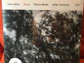 Vinilines ploksteles - nuotraukos Nr. 4