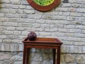 Vintažinis Art Nouveau masyvo konsolinis staliukas - nuotraukos Nr. 7