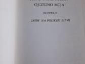 Popiežius - nuotraukos Nr. 12