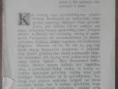 1636. Koks Sėjimas, Tokia Ir Piutis unikali antikv