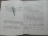 1641. Mūsų Kūdra labai reta antikvarinė-kolekcinė - nuotraukos Nr. 6