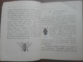 1641. Mūsų Kūdra labai reta antikvarinė-kolekcinė - nuotraukos Nr. 7