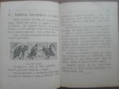 1641. Mūsų Kūdra labai reta antikvarinė-kolekcinė - nuotraukos Nr. 9