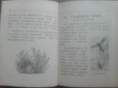 1641. Mūsų Kūdra labai reta antikvarinė-kolekcinė - nuotraukos Nr. 11