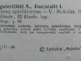 1644. Balkonų Apželdinimas A. Boguševičiūtė - nuotraukos Nr. 2