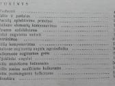 1644. Balkonų Apželdinimas A. Boguševičiūtė - nuotraukos Nr. 3