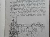 1644. Balkonų Apželdinimas A. Boguševičiūtė - nuotraukos Nr. 4