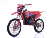 Krosinis motociklas 300cc 21"/18" Lizzard - nuotraukos Nr. 6