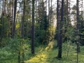 Stovyklavietė ir poilsis prie Aiseto - nuotraukos Nr. 13