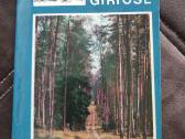 Lietuvos giriose