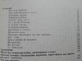 1654. Окно С Затейливой Резьбой Л. Данилова - nuotraukos Nr. 3