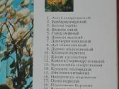 1661. Экскурсия В Природу Лекарственные Растения - nuotraukos Nr. 2