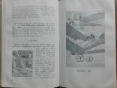1670. Unter Falcher Flagge Книга Для Чтения На Нем - nuotraukos Nr. 7