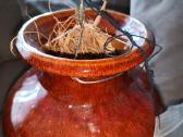 Išskirtinis Down under pots vazonas - nuotraukos Nr. 5