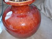 Išskirtinis Down under pots vazonas - nuotraukos Nr. 18