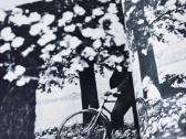 R. Rakauskas Žydėjimas fotografijų albumas