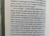 Prano Sasnausko romanas Savanoriai - nuotraukos Nr. 6