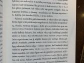 Prano Sasnausko romanas Savanoriai - nuotraukos Nr. 7