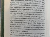 Prano Sasnausko romanas Savanoriai - nuotraukos Nr. 8