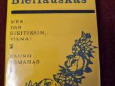 Kauno romanas