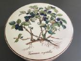 Villeroy & Boch indelis - nuotraukos Nr. 3