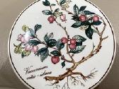 Villeroy & Boch indelis