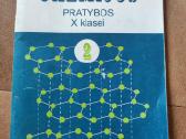 Chemijos pratybos X klasei 2 dalis
