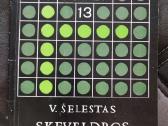 Skeveldros. Fizikos mokykla 13