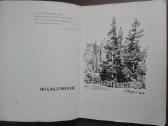 1680. Государственный Пушкинский Заповедник antikv - nuotraukos Nr. 3
