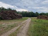 Medžių ir krūmų iškirtimas - apleisto sklypo valym - nuotraukos Nr. 4