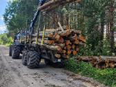 Medžių ir krūmų iškirtimas - apleisto sklypo valym - nuotraukos Nr. 5