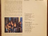 Pop muzikos atlikėjų plokštelės 5 - nuotraukos Nr. 8