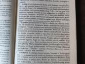 Lietuvos istorijos problemos - nuotraukos Nr. 2