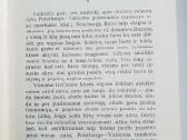Knyga Dostojevskis Idiotas I II tomai - nuotraukos Nr. 4