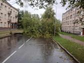 Pavojingų medžių likvidavimas, šakų išvežimas - nuotraukos Nr. 4