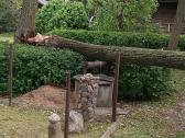 Pavojingų medžių likvidavimas, šakų išvežimas - nuotraukos Nr. 6